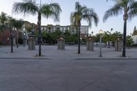 a parking lot with three tall palm trees, some lighting posts and two small buildings