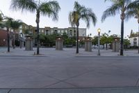 a parking lot with three tall palm trees, some lighting posts and two small buildings