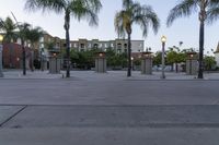 a parking lot with three tall palm trees, some lighting posts and two small buildings