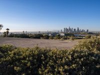 Sunrise Over Los Angeles Cityscape