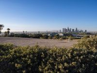 Sunrise Over Los Angeles Cityscape