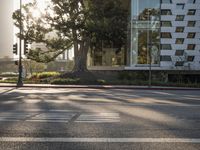 Sunrise over Los Angeles cityscape with modern architecture and tree-lined roads