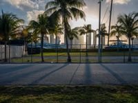 the view of a city in the sun with some palm trees next to the boardwalk