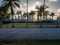 the view of a city in the sun with some palm trees next to the boardwalk