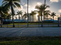 the view of a city in the sun with some palm trees next to the boardwalk