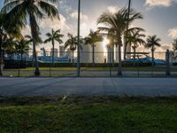 the view of a city in the sun with some palm trees next to the boardwalk