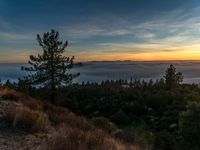 sunrise in a mountainous area of pine trees and clouds rolling in over the valley below the mountains