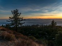 sunrise in a mountainous area of pine trees and clouds rolling in over the valley below the mountains