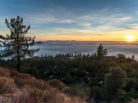 sunrise in a mountainous area of pine trees and clouds rolling in over the valley below the mountains