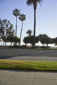 Sunrise over Coastal City with Palm Trees