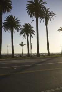 Sunrise over Coastal City with Palm Trees