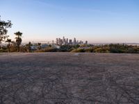 Sunrise Over Los Angeles: A Cityscape with Clear Skies