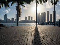 the view of a city in the sun with some palm trees next to the boardwalk