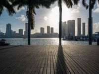 the view of a city in the sun with some palm trees next to the boardwalk