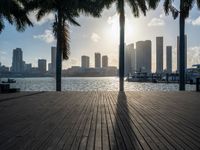 the view of a city in the sun with some palm trees next to the boardwalk