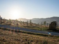 Sunrise on a Gravel Road in Tuscany