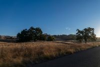 Sunrise over Rural Landscape with Road