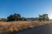 Sunrise over Rural Landscape with Road