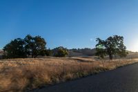 Sunrise over Rural Landscape with Road