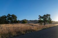 Sunrise over Rural Landscape with Road