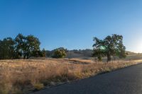 Sunrise over Rural Landscape with Road