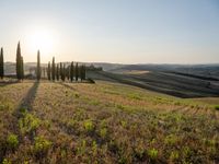 Sunrise on a Rural Road in Tuscany, Italy