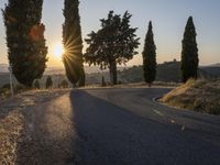 road with several trees near a hill at sunset time with sun flares through the horizon