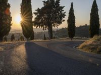 road with several trees near a hill at sunset time with sun flares through the horizon