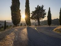 road with several trees near a hill at sunset time with sun flares through the horizon