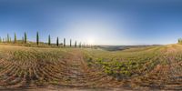 a very wide panoramic view of the countryside of italy on a sunny day