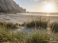 the sun setting over a beach with tall green grass in front of the shoreline and rocks