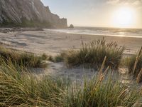 the sun setting over a beach with tall green grass in front of the shoreline and rocks