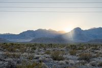 the sun is setting behind the mountains with bushes in foreground and power lines above