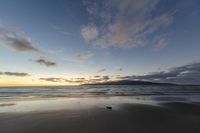 a lone bird is sitting on the beach at sunsettime with the clouds reflected in the wet sand