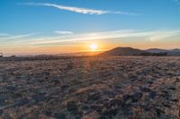 the sun shines brightly in the desert at sunset with a large field of dry grass