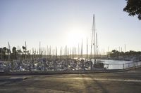 there are many sailboats and sail boats on the water in this harbor at sunset