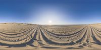 two long tracks are shown on sand next to the ocean at sunset with sun shining