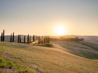 a sunset illuminates the landscape of an open plain with hills and green grass