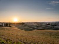 a sunset illuminates the landscape of an open plain with hills and green grass