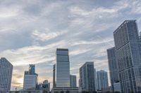 a person is flying a kite at sunset in the city park with tall buildings and trees