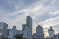 a person is flying a kite at sunset in the city park with tall buildings and trees