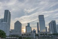 a person is flying a kite at sunset in the city park with tall buildings and trees