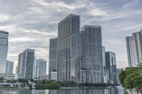 a person is flying a kite at sunset in the city park with tall buildings and trees