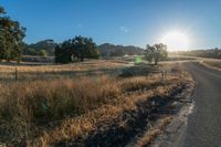 the sun sets over a grassy field behind the road and trees in the background as the sun is setting on the horizon