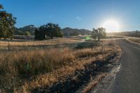 the sun sets over a grassy field behind the road and trees in the background as the sun is setting on the horizon