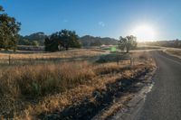 the sun sets over a grassy field behind the road and trees in the background as the sun is setting on the horizon