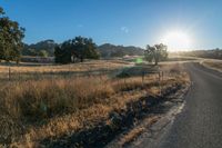 the sun sets over a grassy field behind the road and trees in the background as the sun is setting on the horizon