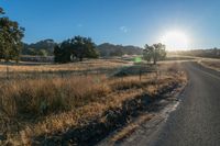 the sun sets over a grassy field behind the road and trees in the background as the sun is setting on the horizon