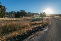 the sun sets over a grassy field behind the road and trees in the background as the sun is setting on the horizon