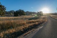 the sun sets over a grassy field behind the road and trees in the background as the sun is setting on the horizon